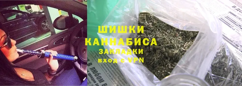 Бошки марихуана White Widow  купить наркоту  Жиздра 